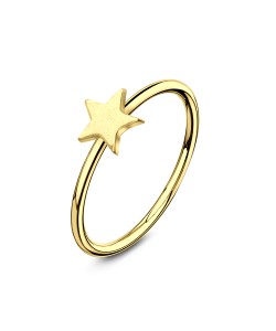 Gold Plated Star Nose Rings NSKR-05-GP